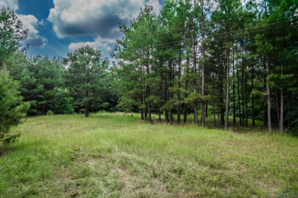 TBD COUNTY ROAD 1632, LINDEN, TX 75563 - Image 1