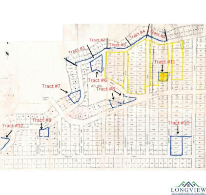 TBD DALLAS LOOP; TRACT 4, AVINGER, TX 75630, photo 2 of 2