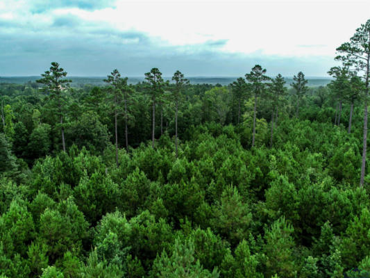 TBD LIBERTY RD TRACT 1, JEFFERSON, TX 75657, photo 2 of 16