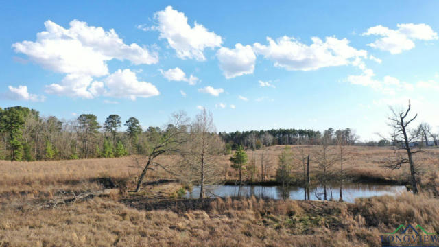 TBD CR 1460, LINDEN, TX 75563, photo 4 of 14