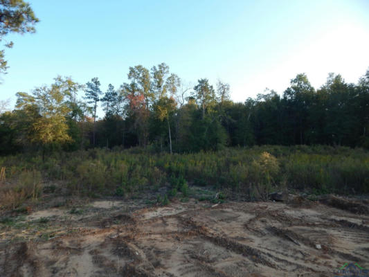 LOT 22 OAK VALLEY DRIVE, GILMER, TX 75645, photo 4 of 11