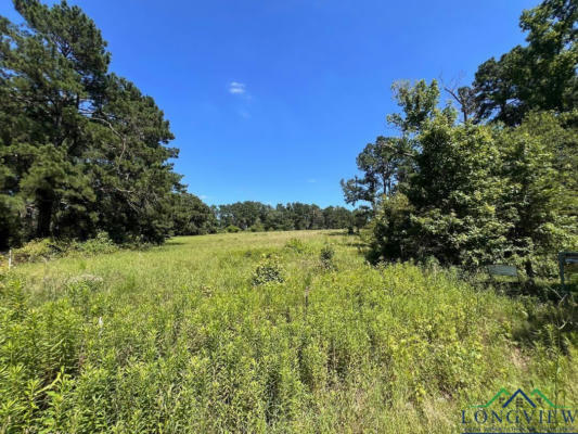887 COUNTY ROAD 1265, CENTER, TX 75935 - Image 1