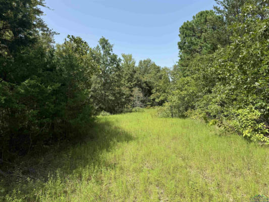 1969 S FM, AVINGER, TX 75603 - Image 1