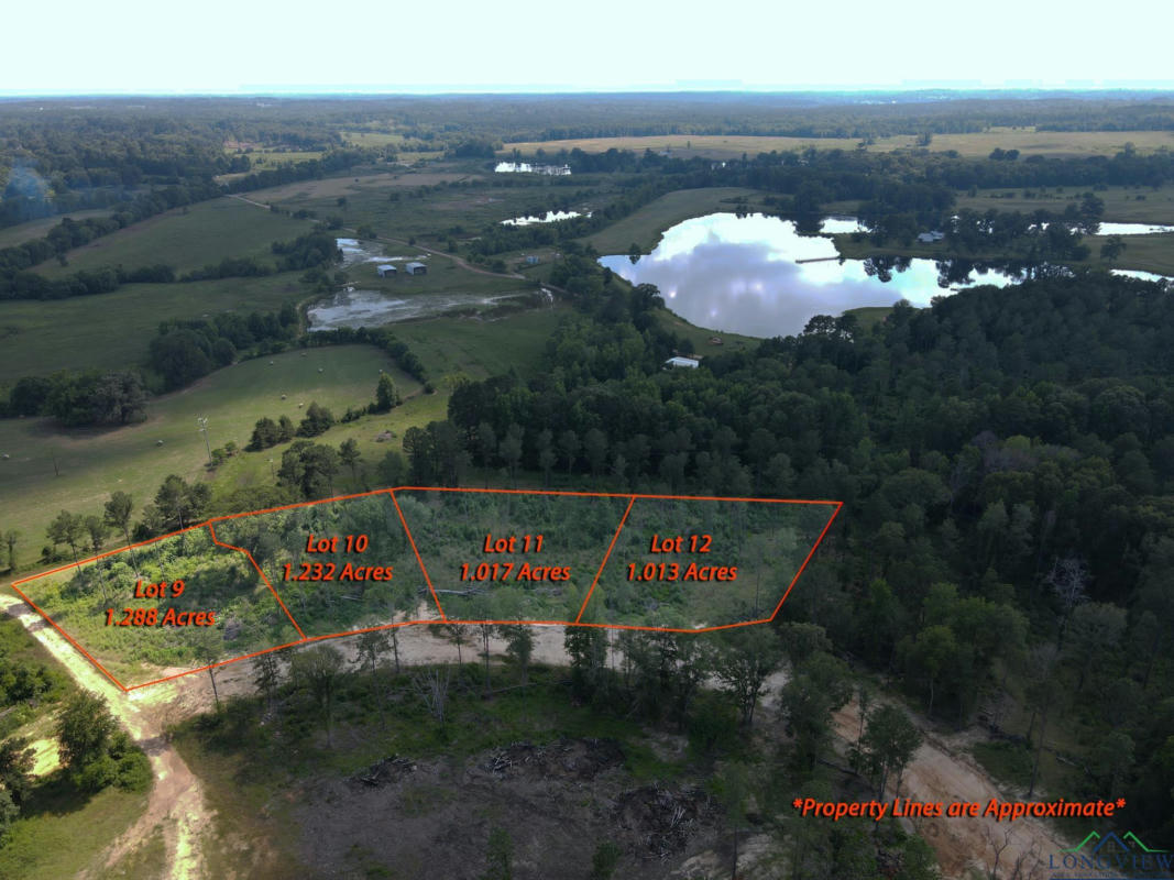 LOT 11 SOUTHERN PINES, HALLSVILLE, TX 75650, photo 1 of 9