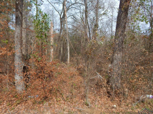 TBD 11.72 ACRES GEORGE RICHEY, WHITE OAK, TX 75693, photo 4 of 18