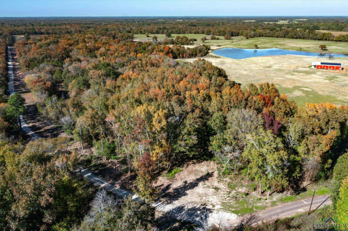 29+/- ACRES VZ COUNTY ROAD 1318, GRAND SALINE, TX 75140, photo 1 of 25