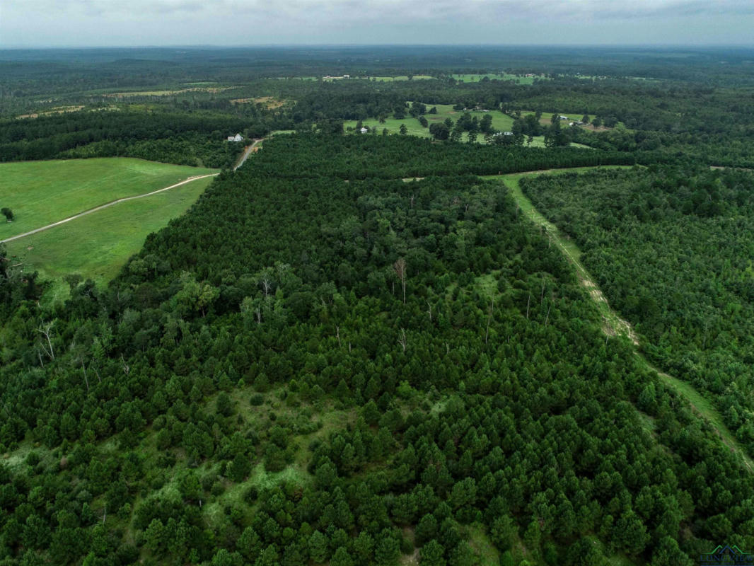 TBD LIBERTY RD TRACT 1, JEFFERSON, TX 75657, photo 1 of 16