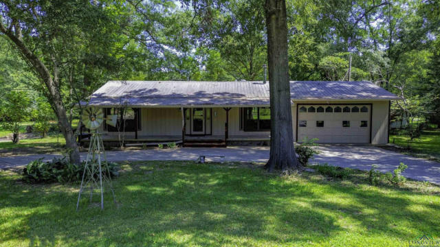 523 BIG LAKE RD, KARNACK, TX 75661 - Image 1