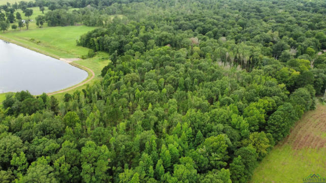 TBD CR 461, LANEVILLE, TX 75667, photo 2 of 10