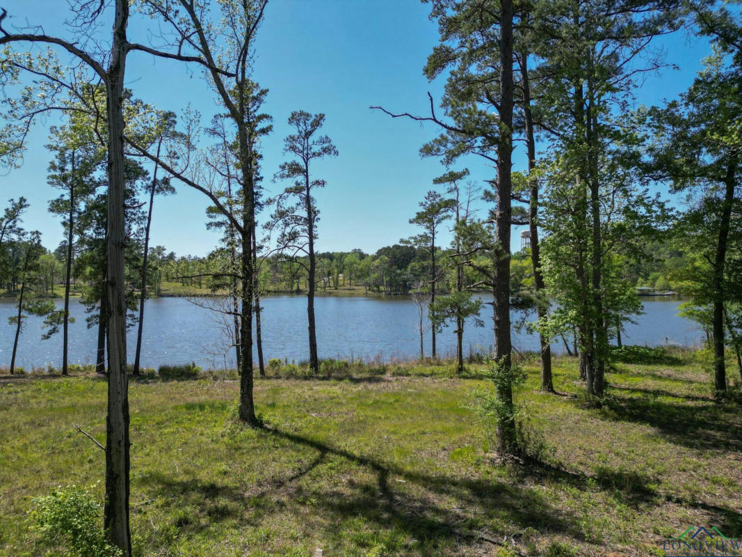 LOT 41 MARBLE WAY, HALLSVILLE, TX 75650, photo 1 of 8