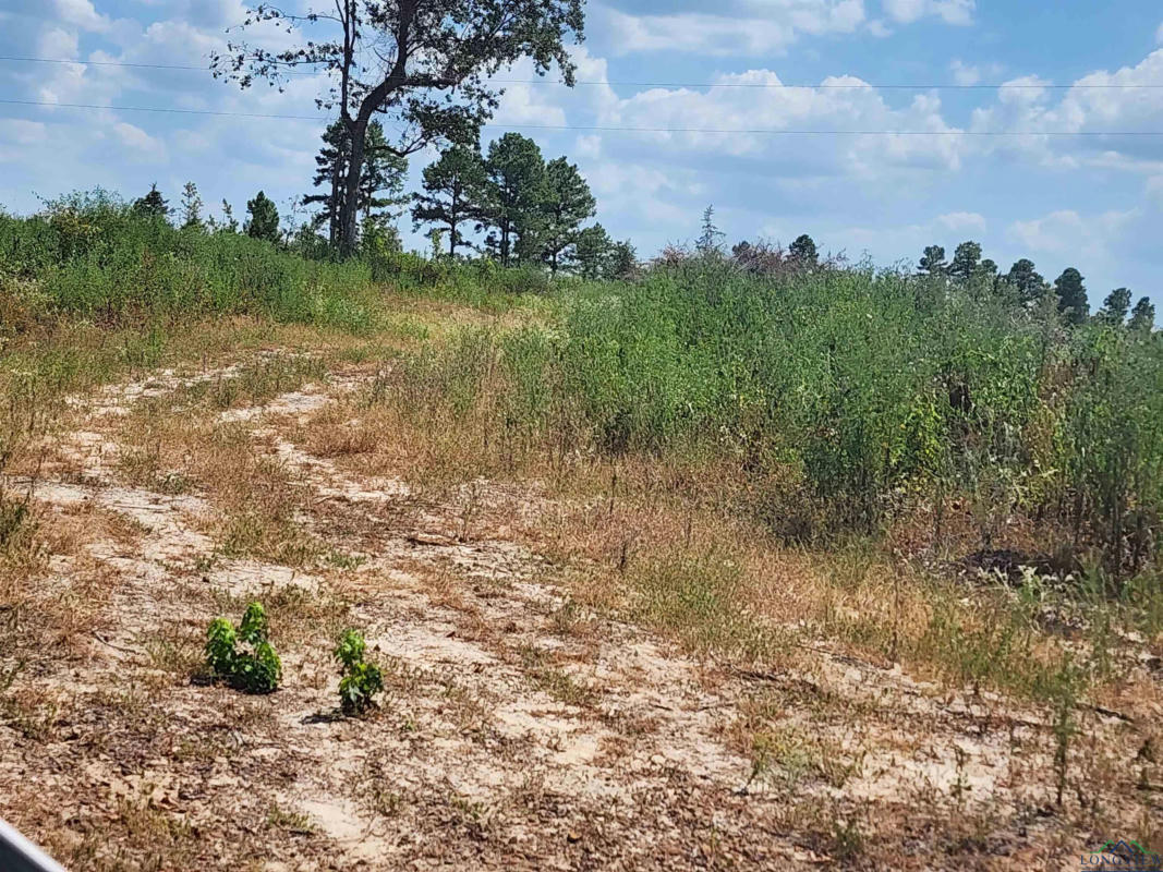 TBD COUNTY ROAD 1762, TRACT 5, 8.5 ACRES, JEFFERSON, TX 75563, photo 1 of 12