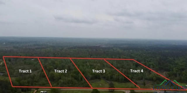 TRACT 3 COUNTY ROAD 4146, OVERTON, TX 75684 - Image 1