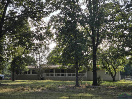 391 COUNTY ROAD 2986, HUGHES SPRINGS, TX 75656 - Image 1