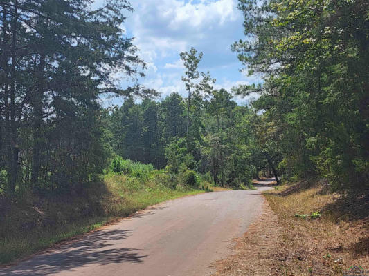 TBD COUNTY ROAD 1762, TRACT 5, 8.5 ACRES, JEFFERSON, TX 75563, photo 4 of 12