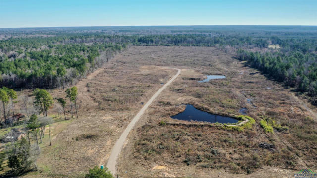 619 COUNTY ROAD 310, DE BERRY, TX 75639, photo 4 of 7