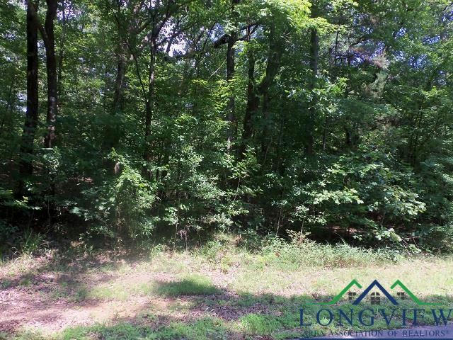 TBD--LOT 9 WILLOW SPRINGS ROAD, KILGORE, TX 75662, photo 1 of 2