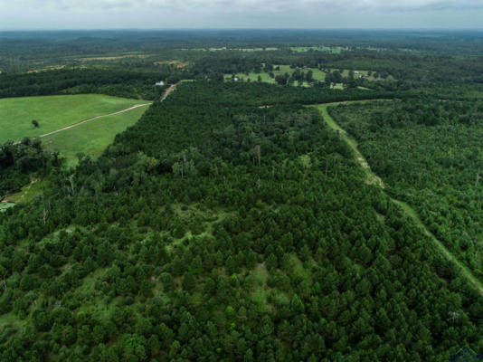 TBD LIBERTY RD TRACT 1, JEFFERSON, TX 75657, photo 5 of 16