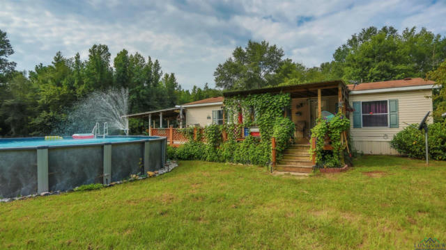 479 BUCKHORN RD, KARNACK, TX 75661 - Image 1