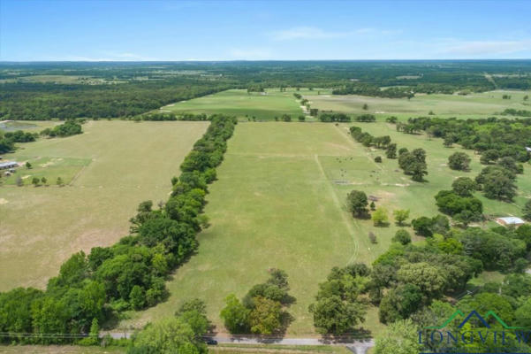 20+/- ACRES VZ COUNTY ROAD 4412, BEN WHEELER, TX 75754, photo 3 of 13