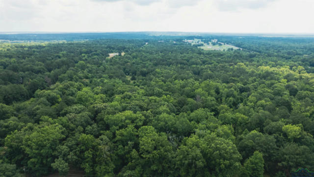 0000 HENRY CIRCLE, HAWKINS, TX 75765, photo 2 of 11