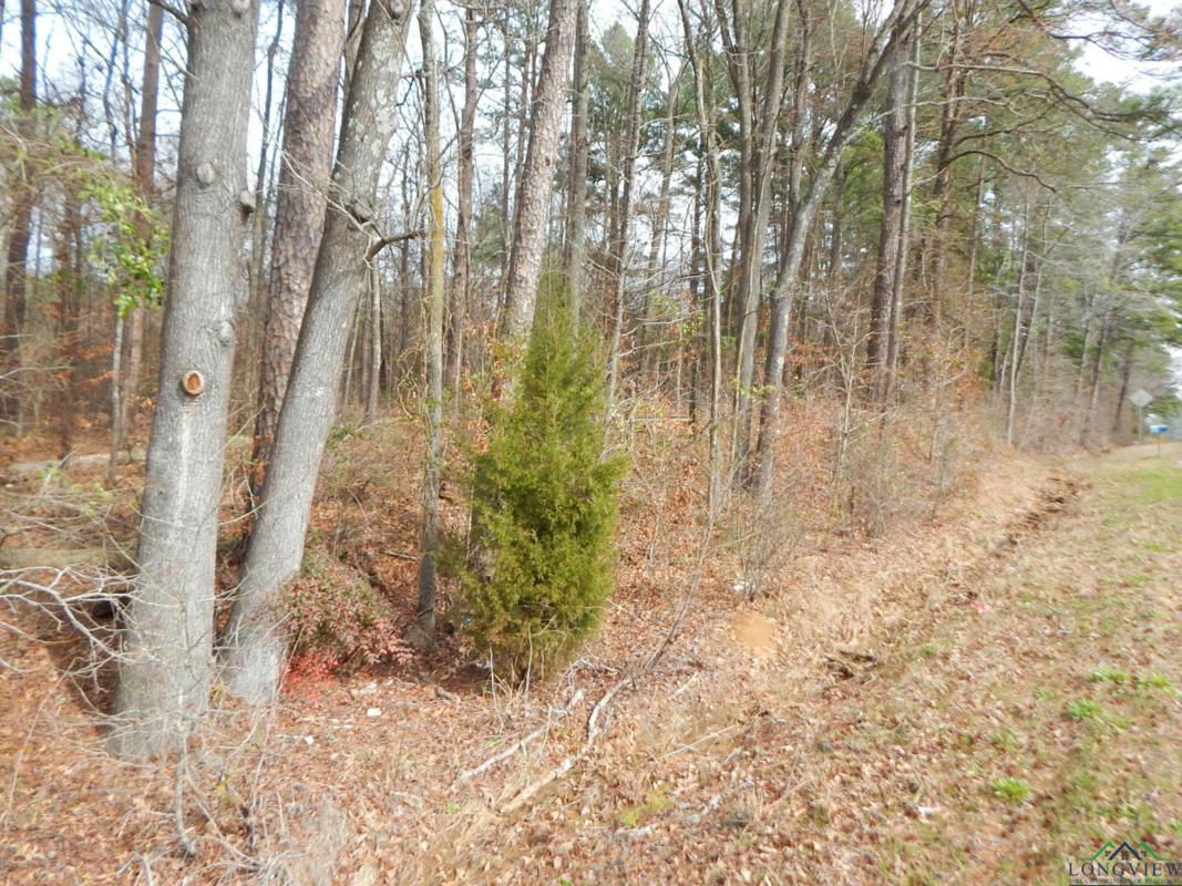 TBD 11.72 ACRES GEORGE RICHEY, WHITE OAK, TX 75693, photo 1 of 18