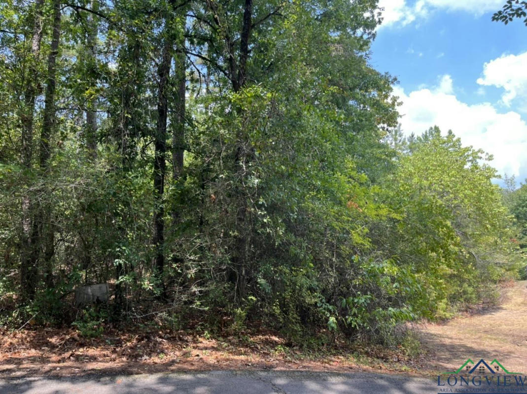 TBD CLIFFSIDE PATH LOT #384, HOLLY LAKE RANCH, TX 75765, photo 1 of 10