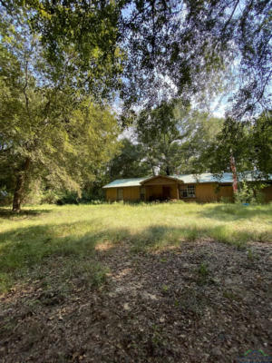 844 LIBERTY CHURCH RD, HARLETON, TX 75651 - Image 1