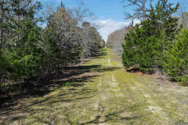 TBD TRINITY RD, JEFFERSON, TX 75657, photo 4 of 35