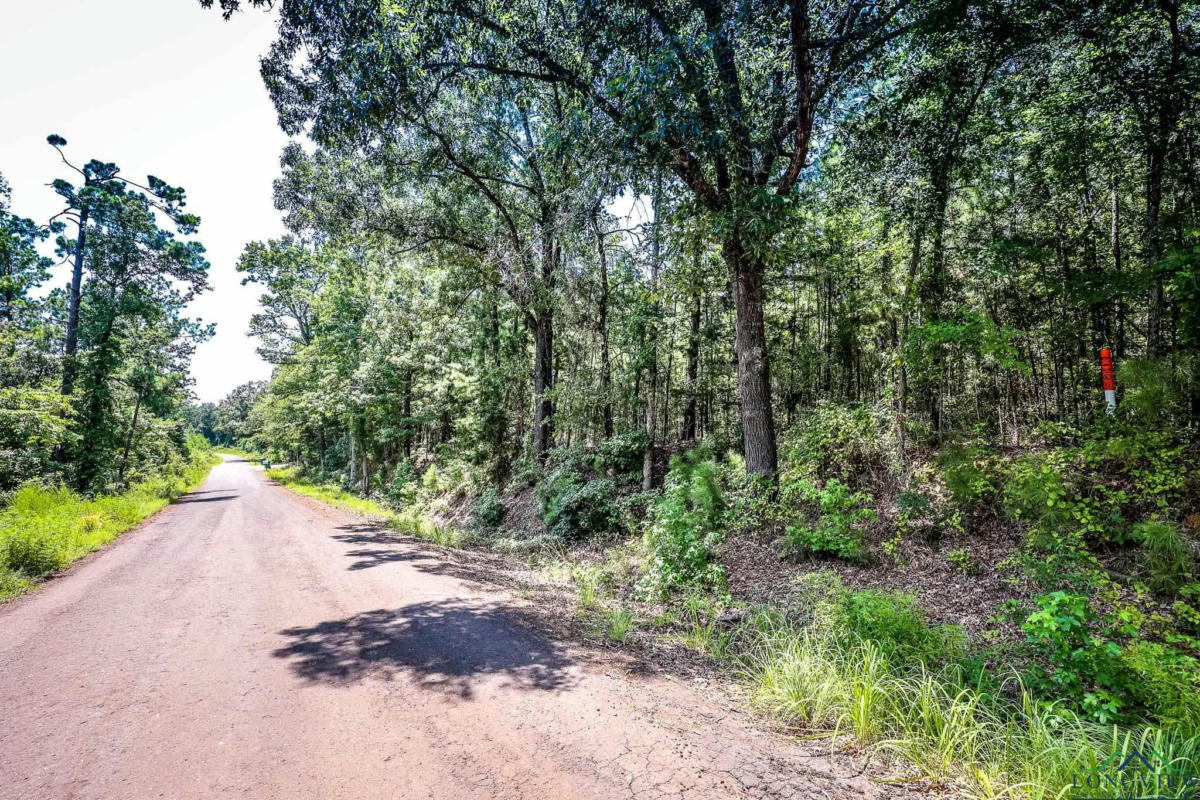 LOT 1 HONEYSUCKLE RD, GILMER, TX 75645, photo 1 of 9