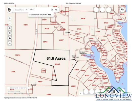 TBD CR 1596 (61.6 ACRES), AVINGER, TX 75630, photo 2 of 8