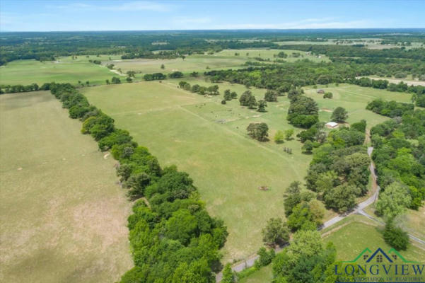 20+/- ACRES VZ COUNTY ROAD 4412, BEN WHEELER, TX 75754, photo 4 of 13